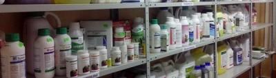 Обработка сада после цветения: чем опрыскивать растения для защиты от вредителей и болезней?